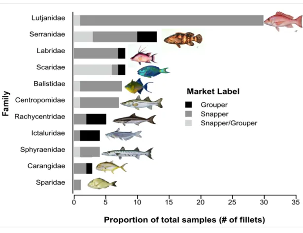 Figure 1.3: Species composition of samples labeled as snapper, grouper, and  snapper/grouper