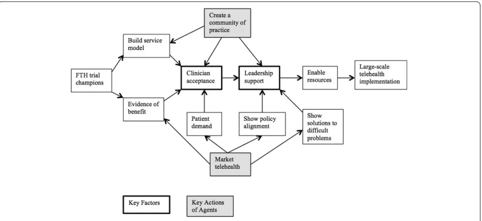 Fig. 2 Model of Change Management Strategy for Large-Scale Telehealth