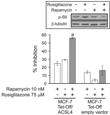 Figure 7: Cell proliferation inhibition by combining sub-effective doses of ACSL4 and mTOR pathway inhibitors