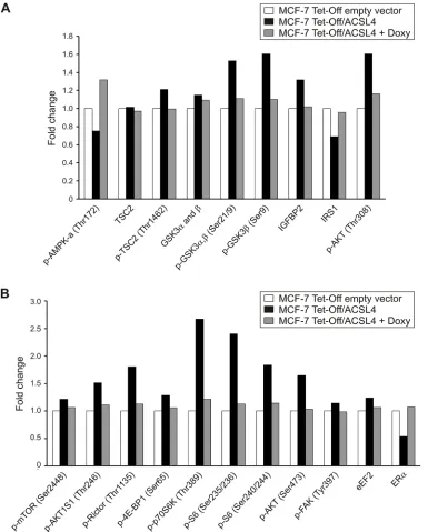 Figure 1: Identification of modified protein expression or phosphorylation of the mTOR pathway in ACSL4-overexpressing cells using RPPA