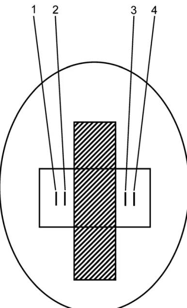 Figure 2.1  Diagram showing the arrangement of the ablation probe and electrogram recordings on the heart