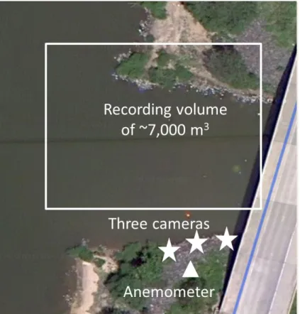 Figure 1. Camera setup. This is a satellite image (Google Maps, 2013) of the field site with  stars showing the approximate location of the cameras, a white triangle marking the approximate  location of the anemometer, and a white square showing the approx