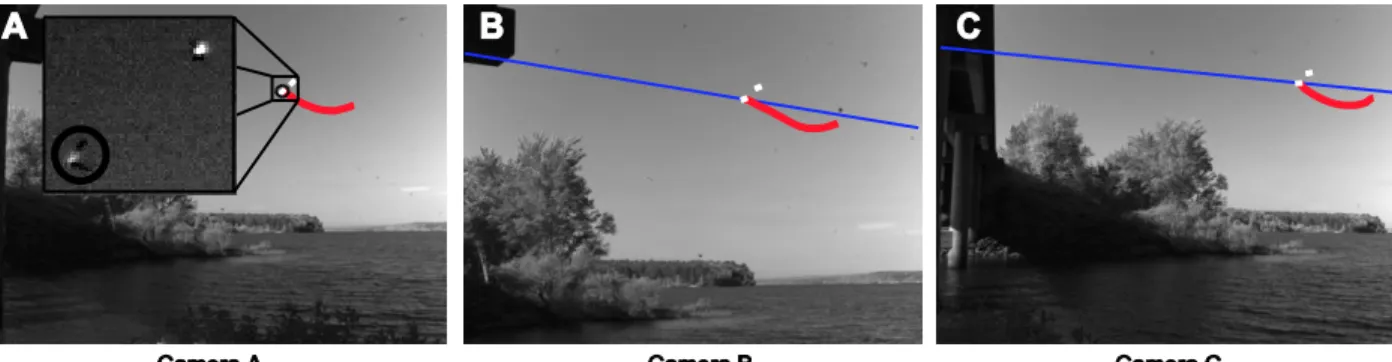 Figure 2. Structure-from-motion camera calibration. Example frames from the three 