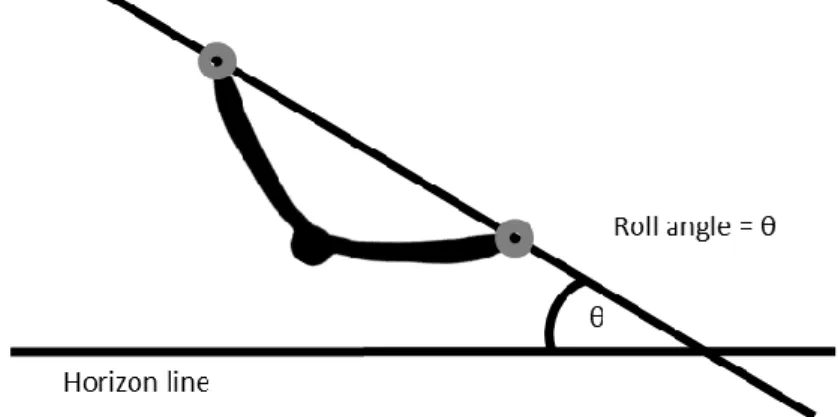 Figure 3: Roll angle. The roll angle was calculated as the angle between the line connecting the  two wingtips and the line from one wingtip in the direction of the other wingtip but parallel to  the horizontal plane