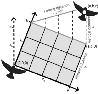 Figure 4: Modified coordinate axes for bird position. To measure the lateral, vertical, and  forward distances between the lead and following birds I shifted and rotated the 3D axes of each  frame so the following bird was at the origin flying along the y 