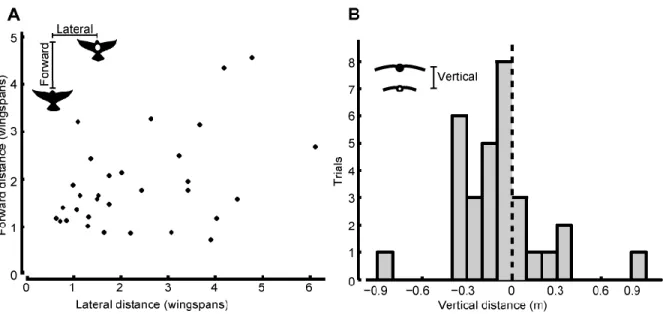 Figure 7: Bird position. (A) Each marker represents the mean location of the lead bird with  respect to the following bird through one entire tandem flight sequence (n=32)