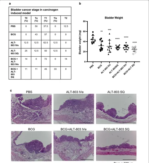 Fig. 2 Anti-tumor activity of BCG, ALT-803 and ALT-803 plus BCG. a On week 20, mice were sacrificed and resected bladders were fixed in 10% buffered formalin and embedded in paraffin and subsequently stained with H&E