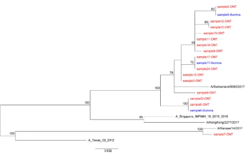 FIG 5 Phylogenetic trees of consensus inﬂuenza virus HA gene derived by Nanopore and Illumina sequencing