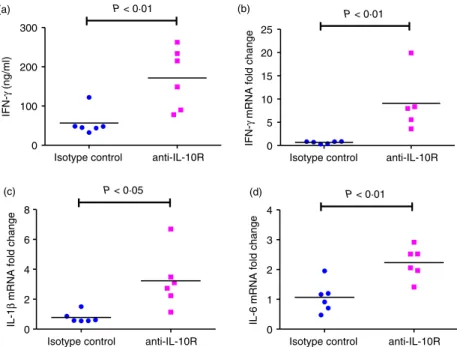 Figure 7. Interferon- c (IFN-c) production in 129SvEv wild-type (WT) mice treated in vivo with anti-interleukin-10 (IL-10) receptor specific anti- body before and during Escherichia coli NC 101 monoassociation