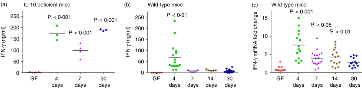 Figure 1. Kinetics of interferon- c (IFN-c) production in 129SvEv wild-type (WT) and interleukin-10 (IL-10) -deficient mice monoassociated with Escherichia coli NC101