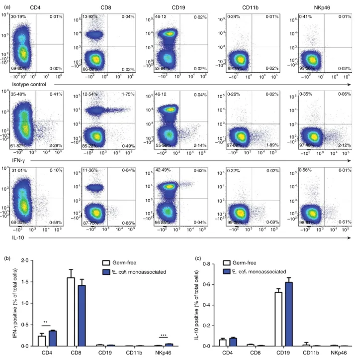 Figure 5. Cell types that produce interferon- c (IFN-c) and interleukin-10 (IL-10). Unseparated mesenteric lymph node (MLN) cells from 129SvEv wild-type (WT) mice monoassociated with Escherichia coli NC101 for 4 days or from 129SvEv WT germ-free (GF) mice 