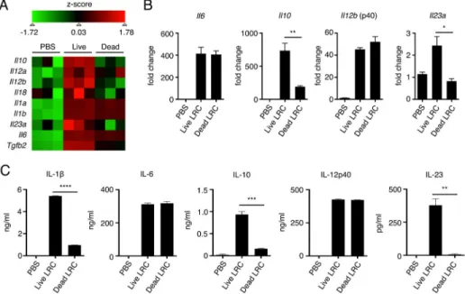 Figure 2. Lymphoid tissue-resident commensal bacteria modulate cytokine responses in bone  marrow-derived dendritic cells in a viability-dependent manner