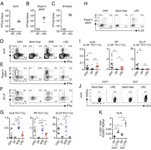 Figure 3. Colonization of intestinal-associated lymphoid tissues by lymphoid tissue-resident  commensal bacteria modulates local Th17 cell responses
