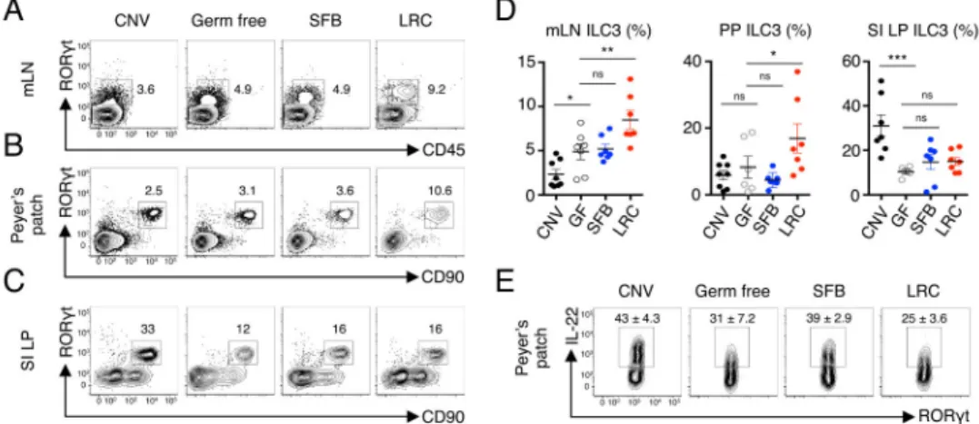 Figure 4. Colonization of intestinal-associated lymphoid tissues by lymphoid tissue-resident  commensal bacteria promotes local ILC3 responses