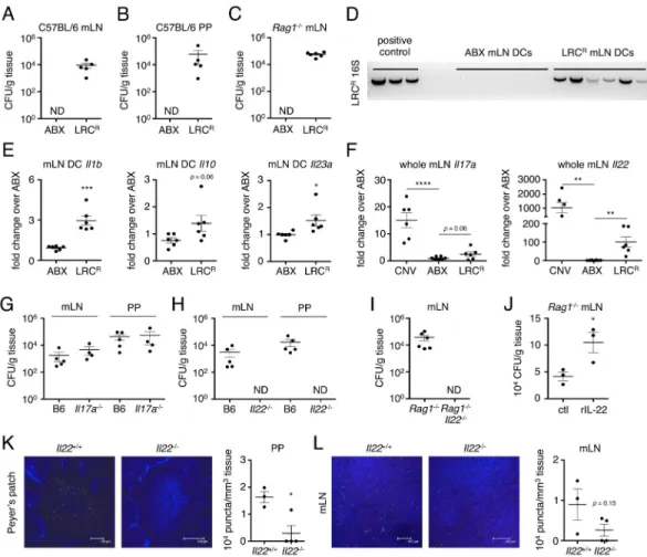 Figure 5. Lymphoid tissue-resident commensal bacteria colonize antibiotic-treated mice and  elicit innate immune responses that enhance colonization
