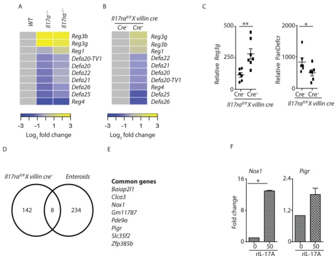 Figure 5. Enteric IL-17R signaling regulates expression of host defense genes