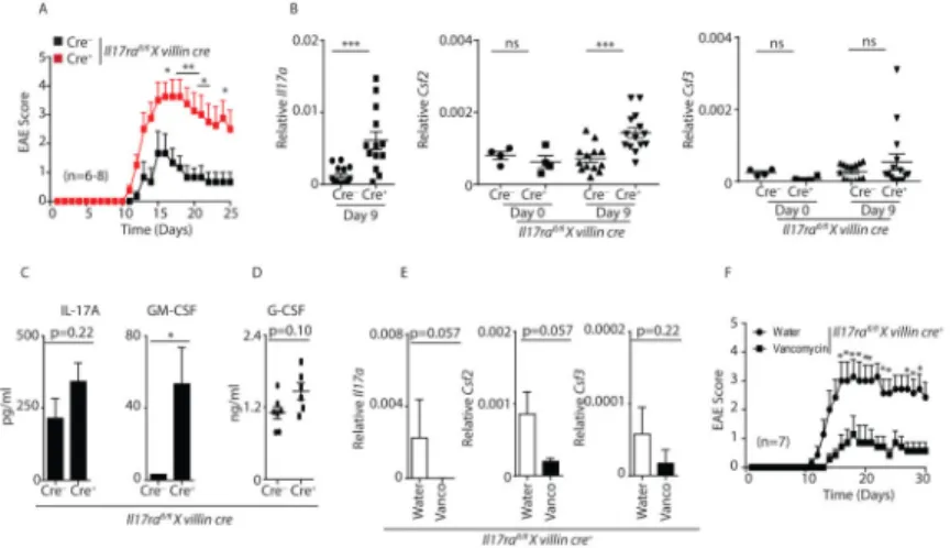 Figure 7. Il17ra fl/fl  x villin cre +  mice demonstrate enhanced EAE disease severity
