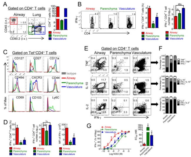 Figure 2. Airway-derived N-specific CD4 +  T cells are superior effector cells