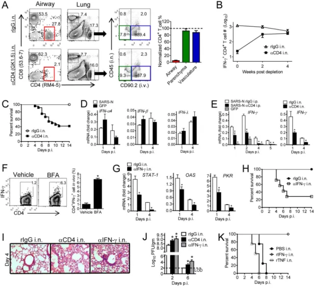 Figure 3. N-specific airway memory CD4 +  T cells mediate protection by local expression of IFN- IFN-γ