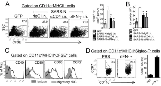 Figure 4. Airway CD4 +  T cell-derived IFN-γ is required for optimal rDC migration to the MLNs (A) To determine rDC migration from the lung to MLN, vaccinated mice were treated with  anti-CD4 antibody, IFN-γ neutralizing antibody or rIgG i.n