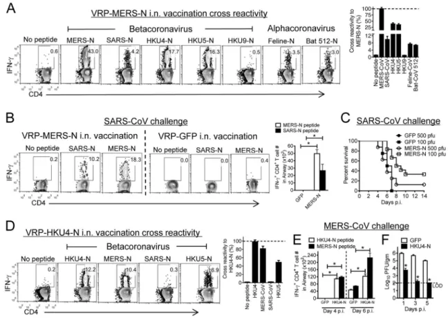 Figure 7. Cross-reactive memory CD4 +  T cells are protective against SARS-CoV and MERS- MERS-CoV