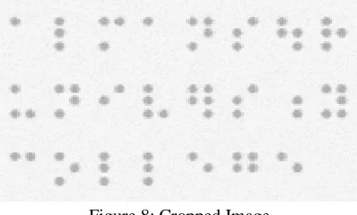 Figure 8: Cropped Image 