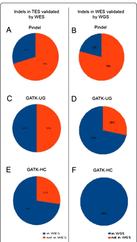 Figure 4 Validation of indels called by Pindel (A,B), GATK-UG(C,D), and GATK-HC (E, F) in targeted exon sequencing withwhole exome sequencing, and whole exome sequencing withwhole genome sequencing using uniform parameter settingsacross the targets