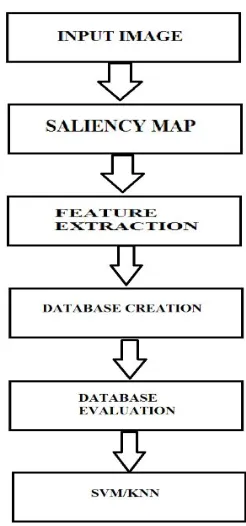Fig 5: Flow of the proposed system 