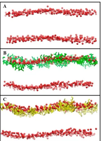 Figure 2.5: Bilayer structures obtained from some of the simulations performed in this  study