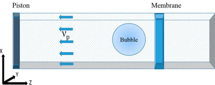 Figure 3.1: Representation of systems simulated in this work. We also simulated a system  that did not contain a bubble and a system where a shock wave was not created