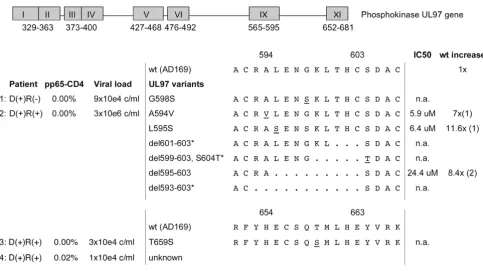 Figure 6CMV UL97 mutant variantsCMV UL97 mutant variants. Boxes indicate mutation clusters in CMV UL97 phosphokinase gene