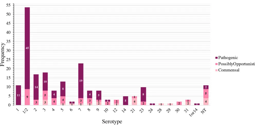 FIG 4 Distribution ofare labeled with their respective pathotypes. Not found (NF) indicates ST could not be determined because one housekeeping gene could not be identiﬁed(pathogenic, possibly opportunistic, and commensal)