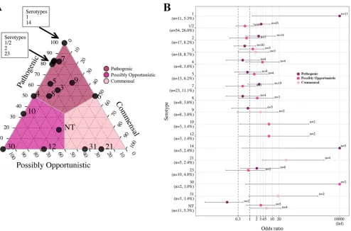 FIG 5 Ternary and OR plots summarizing the associations between S. suis pathotype and serotype