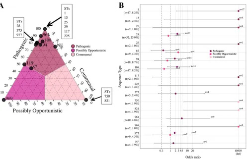 FIG 6 Ternary and OR plots summarizing the associations between S. suis pathotype and ST