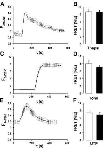 Figure 2.5. Ano1-eGFP and Ano1-mCherry FRET is not affected by changes in  intracellular Ca 2+ 