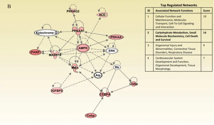 Figure 2.2 Ingenuity pathway analysis comparing diseased to healthy subjects. Red nodes are up- up-regulated genes; green shapes are down-up-regulated genes