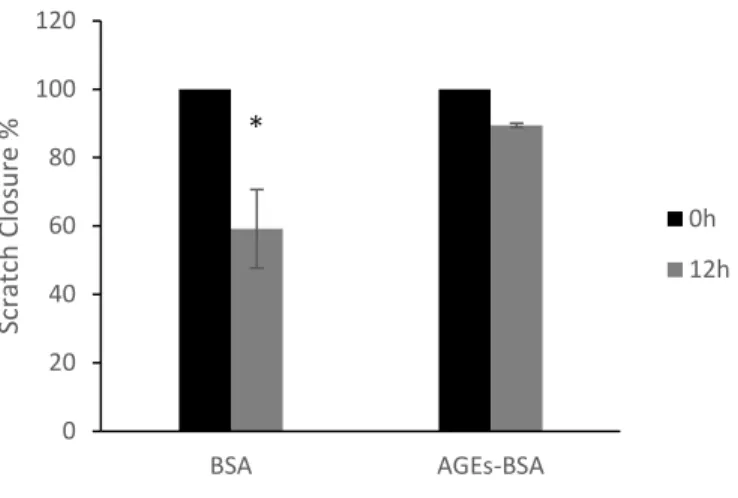 Figure 3.1 AGEs inhibit gingival fibroblast migration. A) Representative staining images show  that AGEs inhibit fibroblast from migrating out of the transwell inserts
