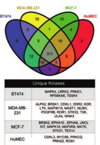 Figure 2.2. Venn Diagram Showing Overlap of Protein Kinase Transcripts 