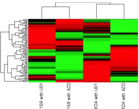 Figure 3.5. Hierarchical Clustering Analysis of SUM159 and MDA-MB-231  	   Treated with AZD6244 and U0126 at 24 Hours