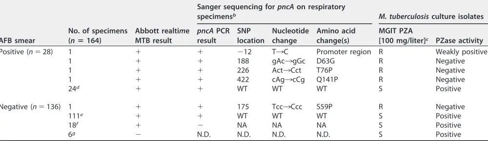 TABLE 1 Pyrazinamide susceptibility and pncA mutation proﬁle of 162 archived puriﬁed M