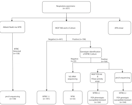 FIG 1 Workﬂow of evaluating in-house pncA sequencing for the detection of pncA mutation and PZA resistance in respiratory specimens.Abbreviations: MTBC, M