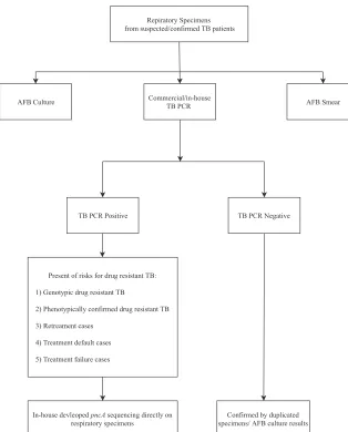 FIG 2 Recommended algorithm for the implementation of genotypic detection of PZA resistance byin-house-developed pncA sequencing