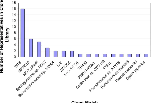 Figure 3.8. Rank Abundance Plot for CMN Clone Library.