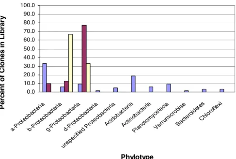 Figure 3.9. The Distribution of Clones/DGGE Bands across Common Soil Phylotypes.