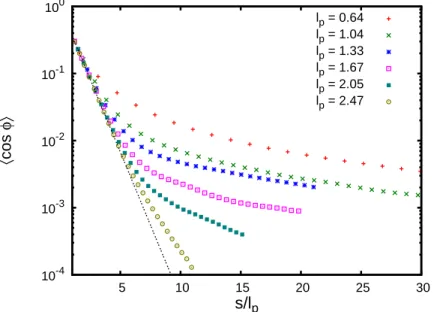 Figure 2.3: Bond vector correlation function of polymer chains with different stiffness