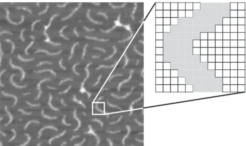 Figure 3.1: Molecule image after separation from substrate. Pixels belonging to the molecule are shown in gray.