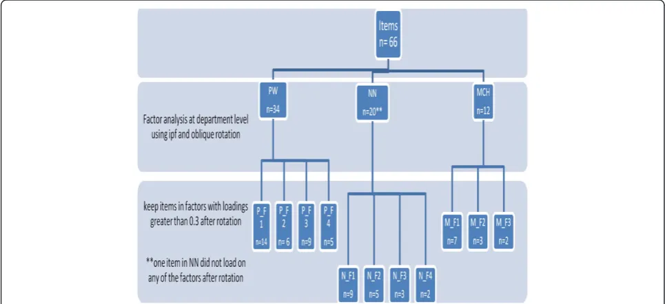 Figure 1 Number of items per factor/domain extracted from EFA. The figure illustrates factor extraction from the exploratory factor analysiscarried out at the department level