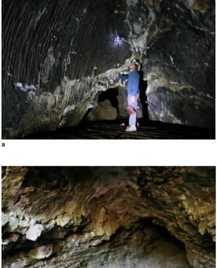 Figure 4 a) The well-preserved melt lining in Hercules Leg-Juniper Cave obscuring lava stratigraphy