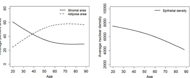 Figure 2. Cubic spline curves for stromal area, adipose area, and epithelial nuclear density by  age