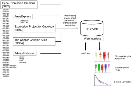 Figure 1: Structure of CSIOVDB. CSIOVDB housed data of human ovarian carcinoma from GEO, ArrayExpress, TCGA, ExpO, and private/in-house